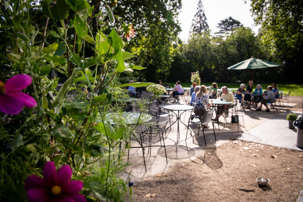 Photo of the courtyard cafe outside the Museum surrounded by green space and trees